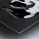 The Council – Emperor Penguins Print Metal print