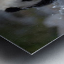 River Charge – Panda Play Print Metal print