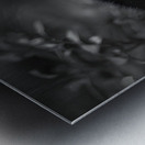 Morning Stretch – Red Panda Monochrome Print Metal print