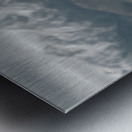 Summit Guardian – Kodiak Bear Print Metal print