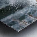 Frost Runner – Winter Bear Print Metal print