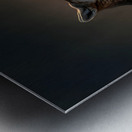 Breath of Dawn – Desert Fox Print Metal print