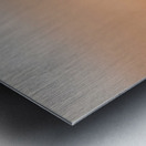 Golden Field – Raccoon Duo Print Metal print