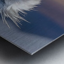 Iron Beak – Shoebill Stork Print Metal print