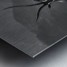 Silent Horn – Saola Print Metal print