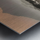 Whispering Plains – Saola Print Metal print