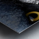 Prehistoric Stare – Present Day Shoebill Print Metal print