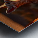 Dustwalker – Fennec Fox Print Metal print