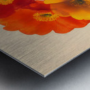 Amber Glass – Bold Bloom Print Impression metal