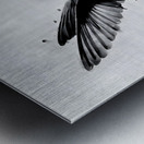 Inkflight – Monochrome Hummingbird Print Metal print