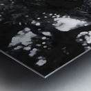 Peek-A-Boo – Panda Portrait Print Metal print