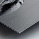 Loud and Clear – Fennec Fox Portrait Print Impression metal