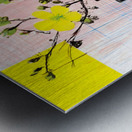 Lemonlight Botanicals – Mid-Century Floral Still Life Print Metal print