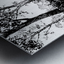 Boy Fishing – Vintage Fishing Print Metal print