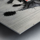 Street Panda – I Love You Print Metal print