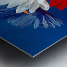 Patriotic Daisies – Red White Blue Floral Print Metal print