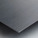 Emperor’s Gaze – Emperor Tamarin Monkey Portrait Print Metal print