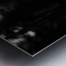 Wild Solitude – Orange Flower in Mountain Meadow Print Metal print