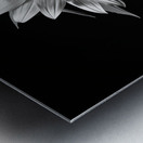 Stillness in Bloom – Monochrome Flower Reflection Print Metal print