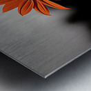 Solitary Flame – Orange Daisy in the Dark Print Metal print