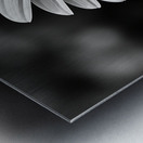 Amber Whisper – Yellow Petal Accent Print Metal print