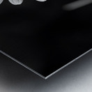 Light & Form – Black and White Daisy Print Impression metal