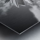 Summer’s Echo – Black and White Sunflower Field Print Metal print