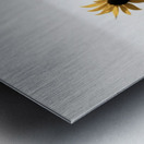 Blue Horizon Bloom – Sunflowers by the Sea Print Metal print