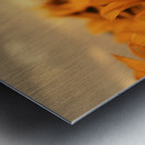 Golden Haze – Radiant Sunflower Morning Print Impression metal