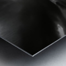 Hope in Bloom – Selective Color Sunflower Print Metal print