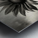 Standing Tall – Sunflower Monochrome Landscape Print Metal print