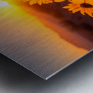Sunset Sunflowers – Golden Hour Botanical Art Print Metal print