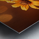 Golden Hour Daisies – Warm Botanical Art Print Metal print