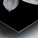 Obsidian Bloom II – Minimal Floral Print Metal print