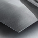 Reflection Tree – Landscape in Black & White Print Metal print