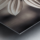 Opulent – Monochrome Daisy Medallion Art Print Metal print