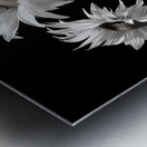 Ineffable – Black & White Twin Sunflower Art Print Metal print