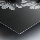 Soulful Blooms – Black & White Sunflower Art Print Impression metal