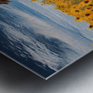 Shed - Sunflower Field Cottage Art Prints Metal print