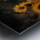 Sunkissed - Golden Sunflower Art Prints Metal print