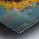 Allure - Sunflower Duo - Modern Floral Art Prints Metal print