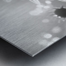 Whispers of the Sun – Minimal Daisy Art Print Metal print