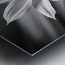 Eclipsed in Bloom – Monochrome Floral Art Print Metal print