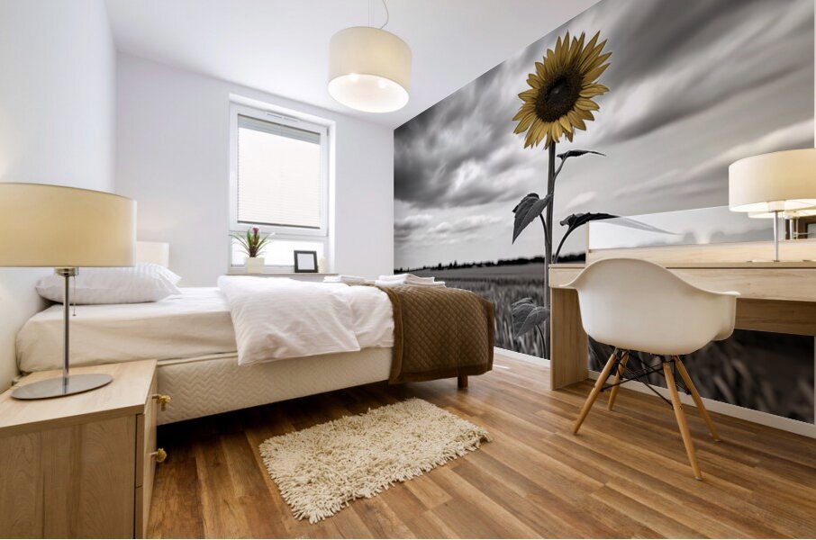 Hope In Contrast - Minimal Sunflower Art Prints Impression murale