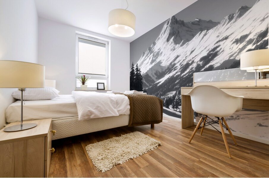 Winter In The Valley - Monochrome Landscape Art Prints Impression murale