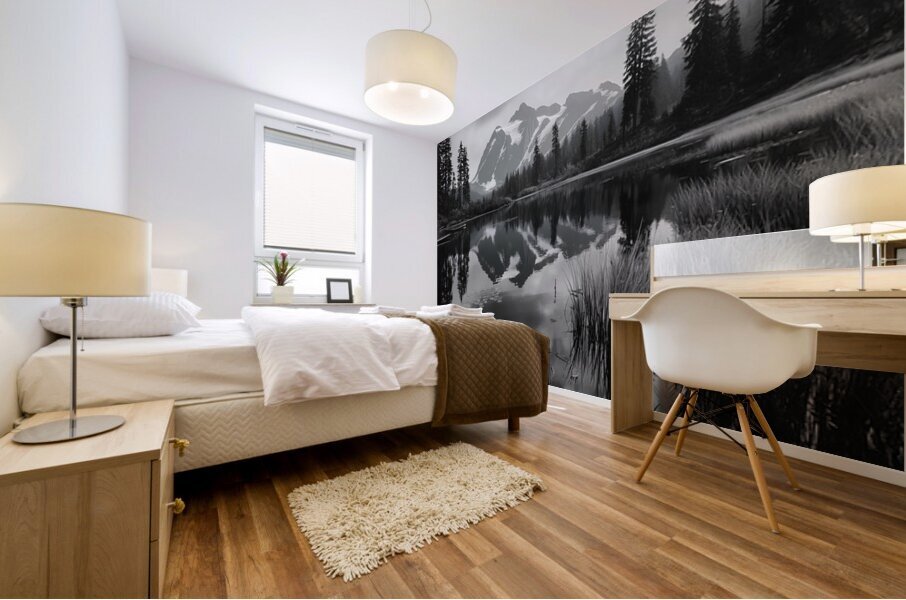 Reflections Of The Wild - Monochrome Landscape Art Prints Mural print