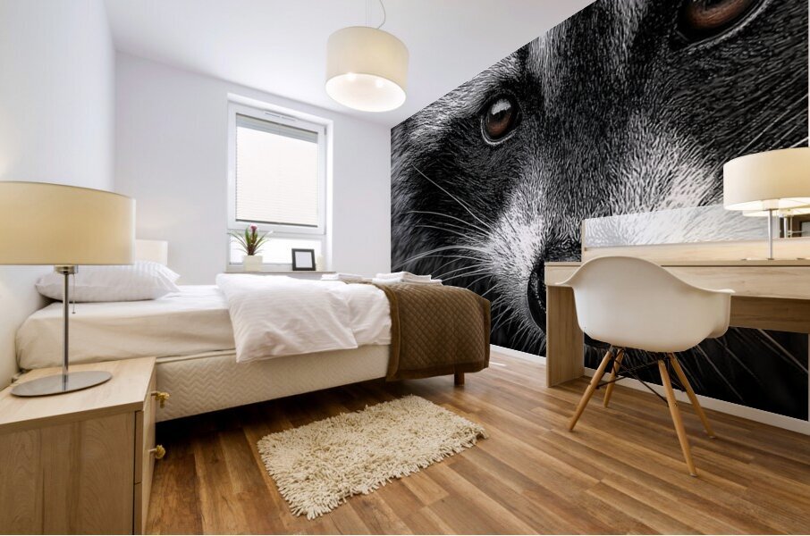 Bandit – Raccoon Portrait Art Print Mural print