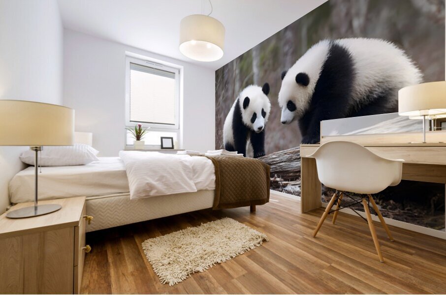 Panda Kin - Wildlife Companions Print Impression murale