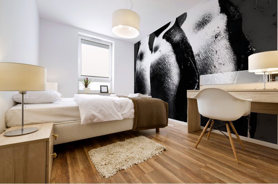 The Council – Emperor Penguins Print Mural print