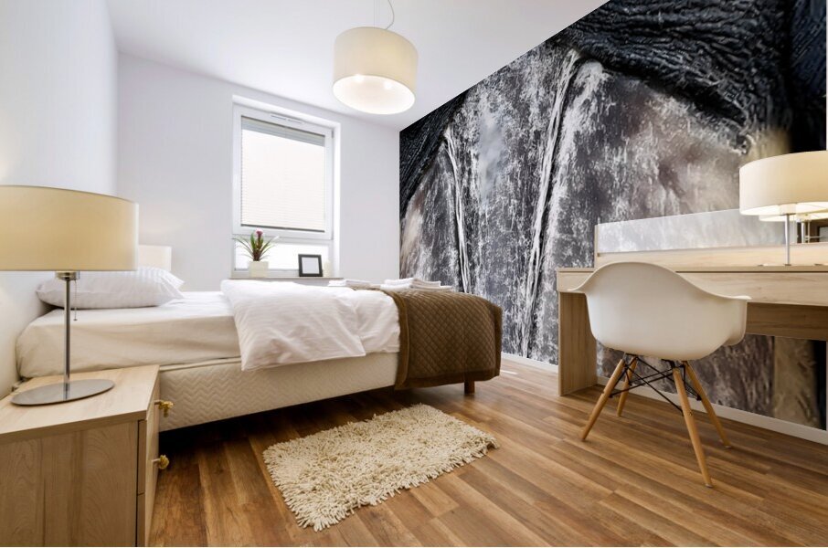 Prehistoric Stare – Present Day Shoebill Print Mural print